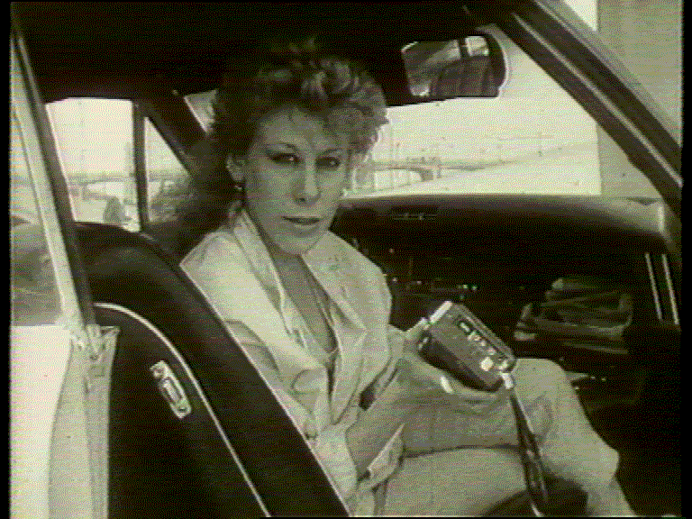 Dr. Denis Waitley stellt sich vor Dr. Denis Waitley stellt sich vor