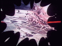 Explosion nach Kurzschluss 1