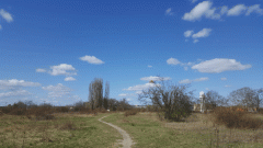 20200404_123326_Tfeld
