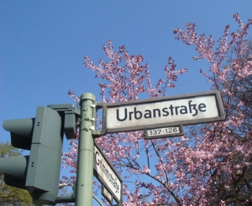 dsc00799_urbanschildampelblueten